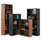SAFCO PRODUCTS-SAF 7171BL