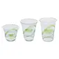 ECO-PRODUCTS,INC.-EP-CC9S-GS