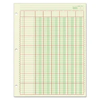 TOPS BUSINESS FORMS-ACP85113