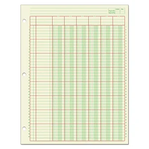 Tops Business Forms ACP111612 - PAD, COLUMNAR, 12 COLUMN