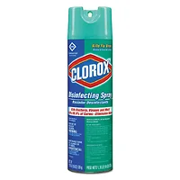CLOROX-CLO 38504