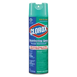 CLOROX-CLO 38504