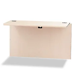 HON COMPANY-H10770.COGNCOGN