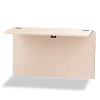 HON COMPANY-H107398.COGNCOGN