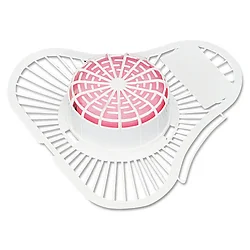 Boardwalk Cleaning Co.-BWKPBS