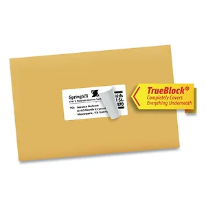 Avery Dennison 95905 - Permanent Shipping Labels with TrueBlock Technology