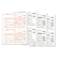 TOPS BUSINESS FORMS-22973