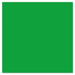 PACON CORPORATION-57335