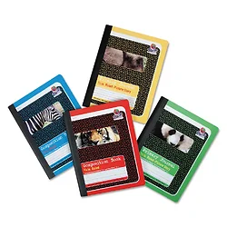 PACON CORPORATION-PMMK37164