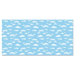 PACON CORPORATION-P0056225