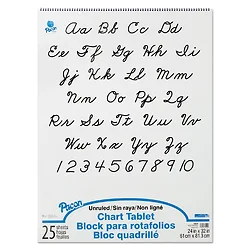 PACON CORPORATION-PAC 74620