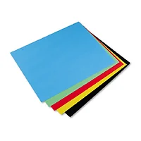 PACON CORPORATION-54751