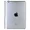 IPADAIR-32-WSIL-PB-RCA
