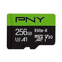 PNY Technologies-P-SDU256U3100EX-GE