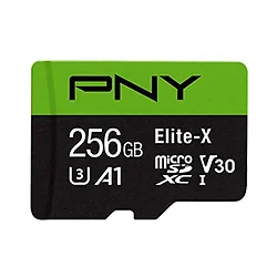 PNY Technologies-P-SDU256U3100EX-GE