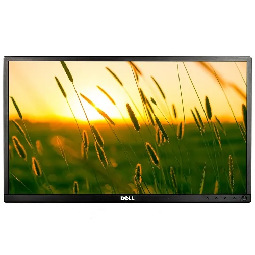 DELL-P2217HBUONSBULKRCB