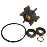 Johnson Pump-09-45587