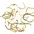 9523NP-BR-6-25U