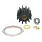 Johnson Pump-09-45825