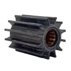 Johnson Pump-09-821BT-1