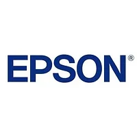 EPSON-T89022V