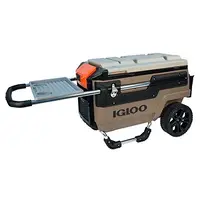 Igloo-00034276