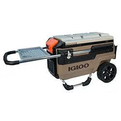 Igloo-00034276
