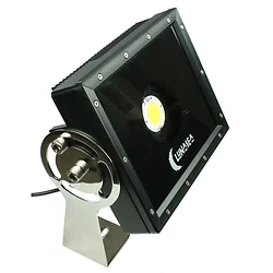 Lunasea Lighting-LLB-60NC-31-10