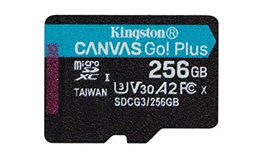 KINGSTON-SDCG3256GBSP