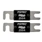 T-SPEC-V8-ANL250