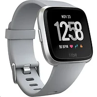 Fitbit-FB504SRGY