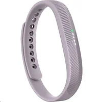 Fitbit-FB403LV