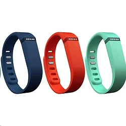 Fitbit-FB401BTNT