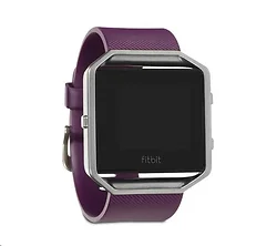Fitbit-FB502SPMS