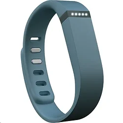 Fitbit-FB401SL