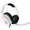 939-001845-BULK-RCA