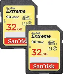 Western Digital-SDSDXVE-032G-GNCI2