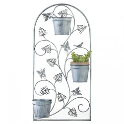 Summerfield Terrace-10018891