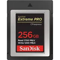Western Digital-SDCFE-256G-ANCNN