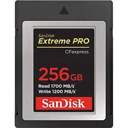 Western Digital-SDCFE-256G-ANCNN