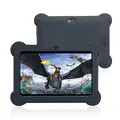 Worryfree Gadgets ZEE16GBLK