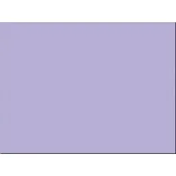 PACON CORPORATION-PAC 103082