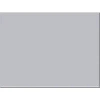 PACON CORPORATION-PAC 103091