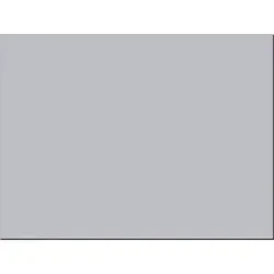 PACON CORPORATION-PAC 103091