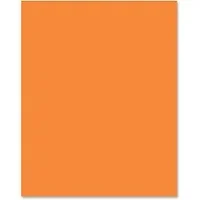 PACON CORPORATION-PAC 54061