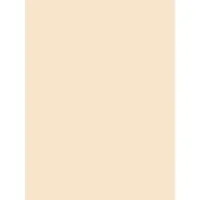 PACON CORPORATION-PAC 5190