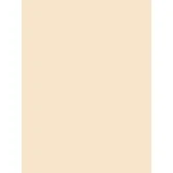 PACON CORPORATION-PAC 5190