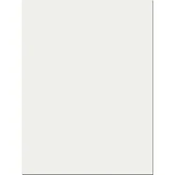 PACON CORPORATION-GOJ 921702