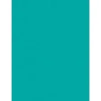 PACON CORPORATION-PAC 102062