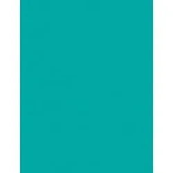 PACON CORPORATION-PAC 102062